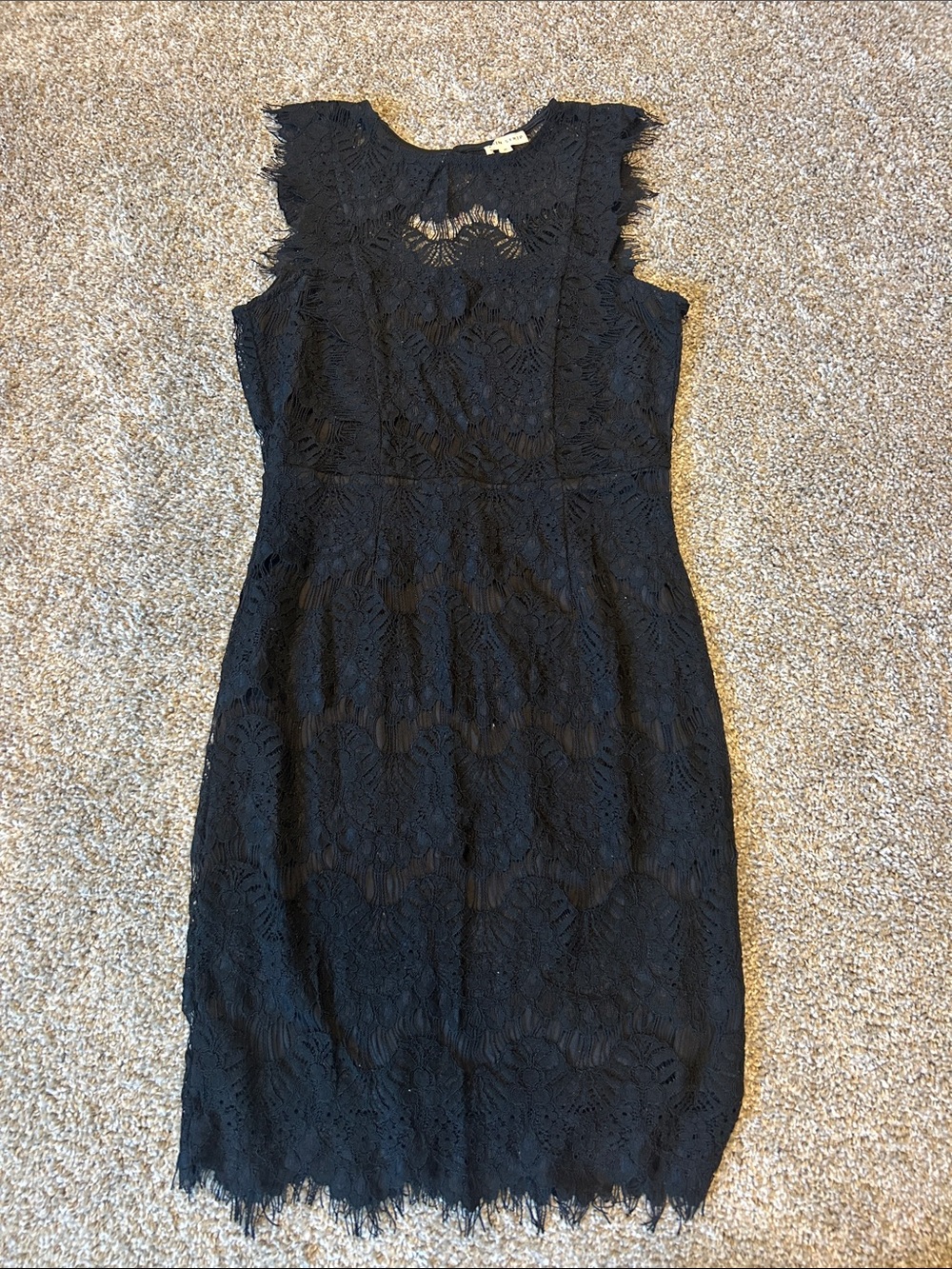 Main Strip Black Lace Midi Dress with Scalloped Hem